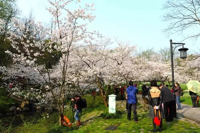 西湖线路旅游攻略_西湖游玩线路_西湖旅游线路
