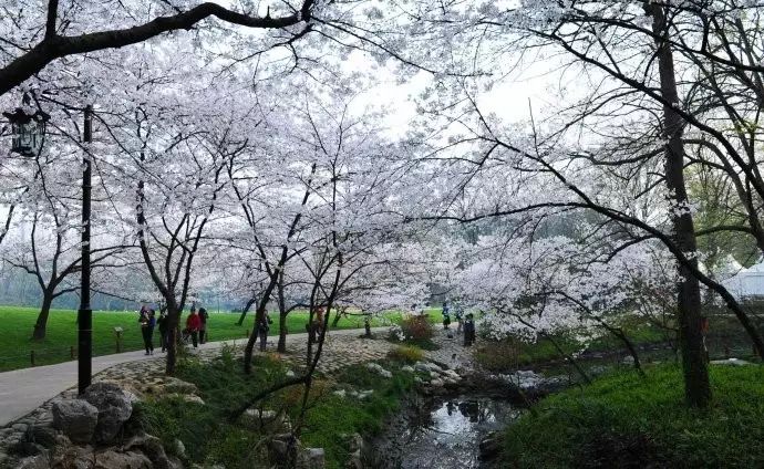 西湖游玩线路_西湖线路旅游攻略_西湖旅游线路