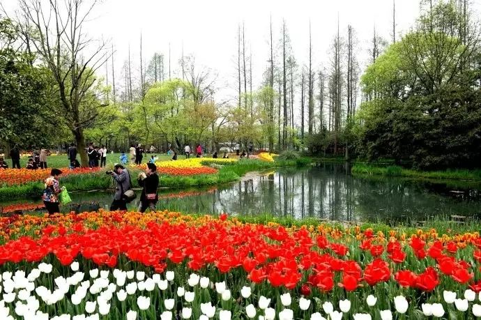 西湖旅游线路_西湖游玩线路_西湖线路旅游攻略