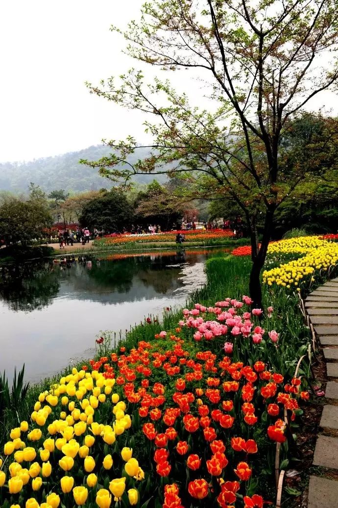 西湖线路旅游攻略_西湖游玩线路_西湖旅游线路