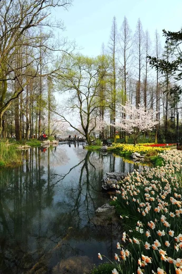 西湖旅游线路_西湖游玩线路_西湖线路旅游攻略