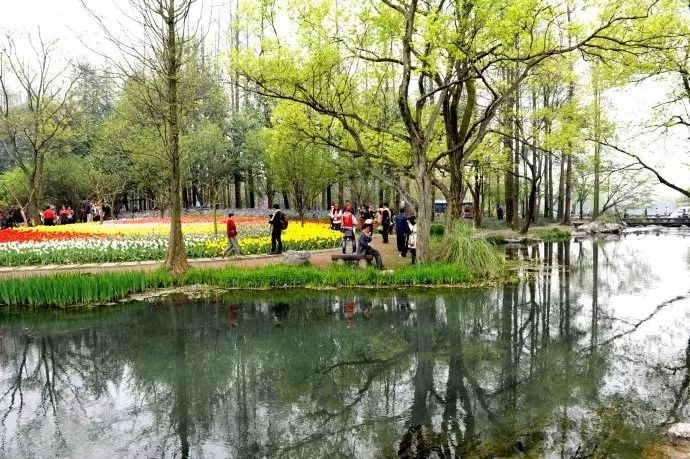 西湖旅游线路_西湖线路旅游攻略_西湖游玩线路