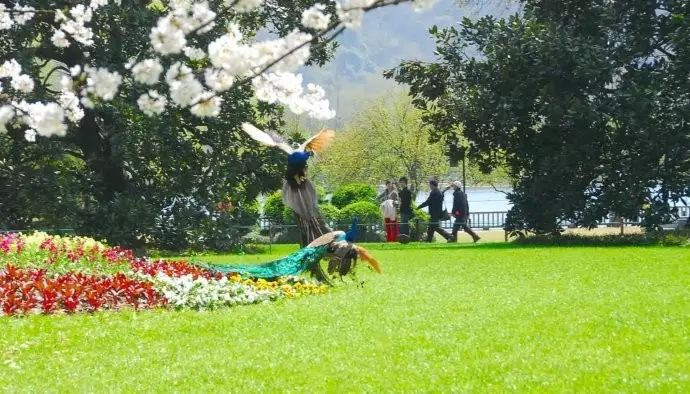 西湖游玩线路_西湖旅游线路_西湖线路旅游攻略