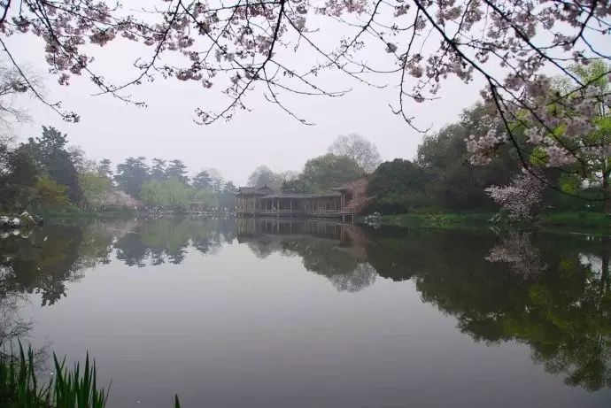 西湖线路旅游攻略_西湖游玩线路_西湖旅游线路