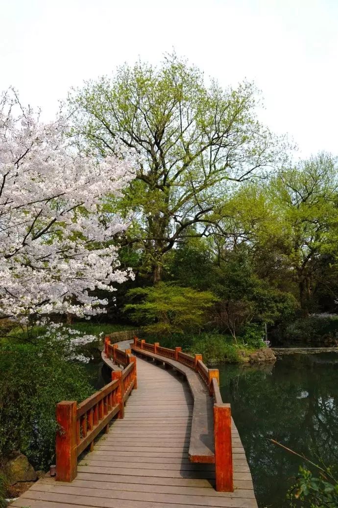 西湖旅游线路_西湖线路旅游攻略_西湖游玩线路