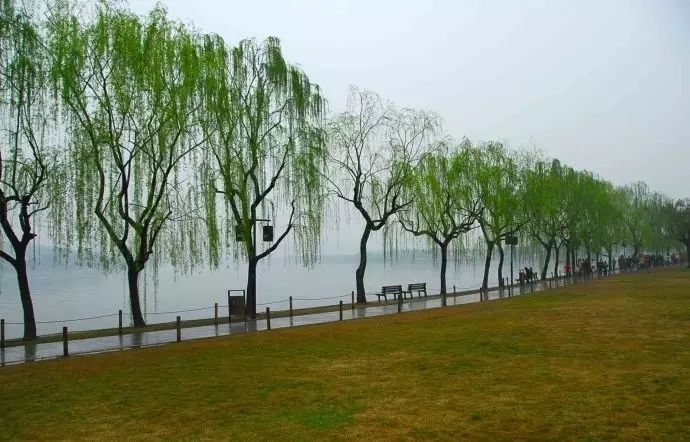 西湖线路旅游攻略_西湖旅游线路_西湖游玩线路