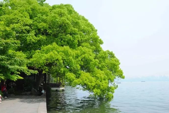西湖线路旅游攻略_西湖游玩线路_西湖旅游线路