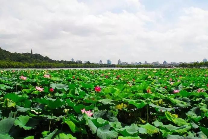 西湖旅游线路_西湖游玩线路_西湖线路旅游攻略