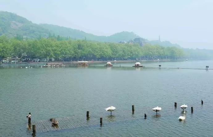 西湖游玩线路_西湖线路旅游攻略_西湖旅游线路