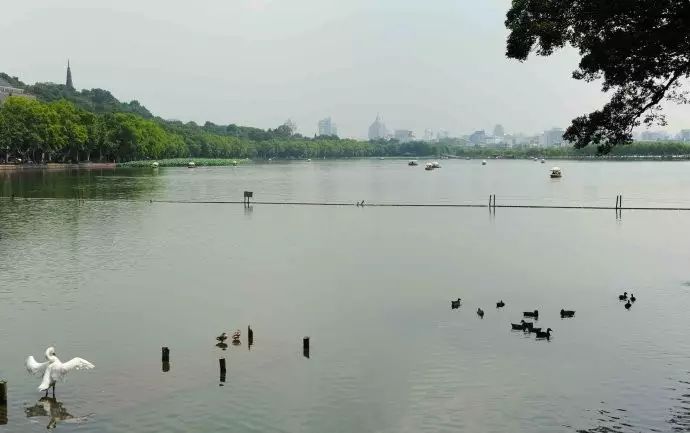 西湖线路旅游攻略_西湖旅游线路_西湖游玩线路
