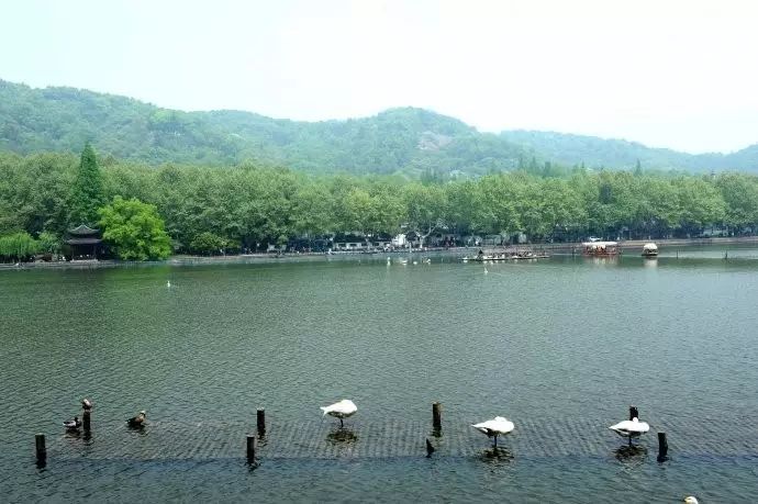 西湖线路旅游攻略_西湖旅游线路_西湖游玩线路