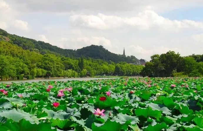 西湖游玩线路_西湖线路旅游攻略_西湖旅游线路