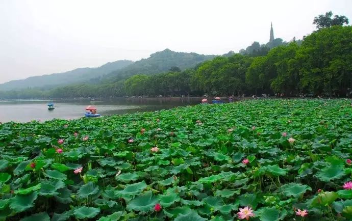西湖游玩线路_西湖线路旅游攻略_西湖旅游线路
