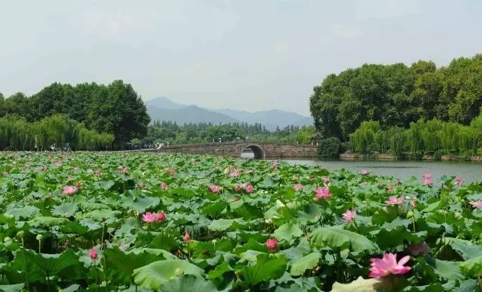 西湖线路旅游攻略_西湖旅游线路_西湖游玩线路