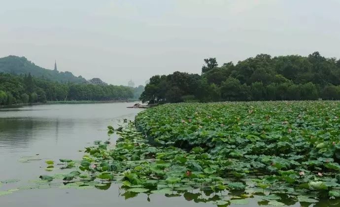 西湖游玩线路_西湖线路旅游攻略_西湖旅游线路