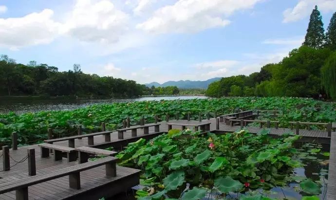 西湖线路旅游攻略_西湖旅游线路_西湖游玩线路