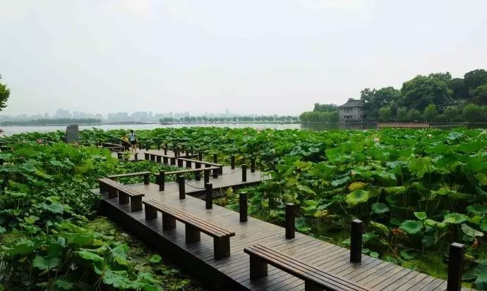 西湖游玩线路_西湖线路旅游攻略_西湖旅游线路