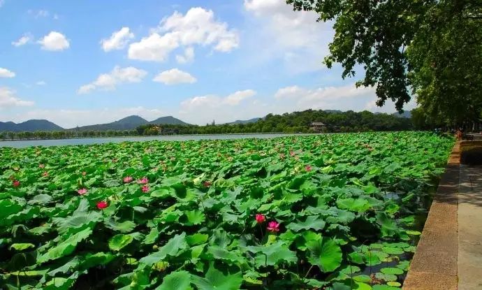 西湖线路旅游攻略_西湖旅游线路_西湖游玩线路