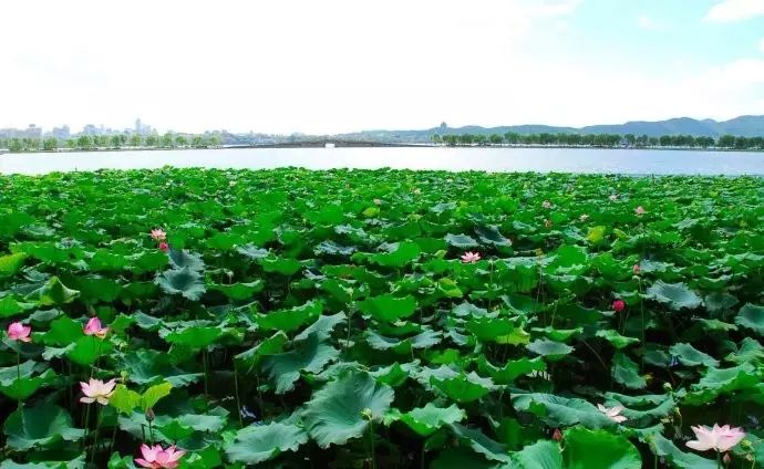 西湖游玩线路_西湖旅游线路_西湖线路旅游攻略