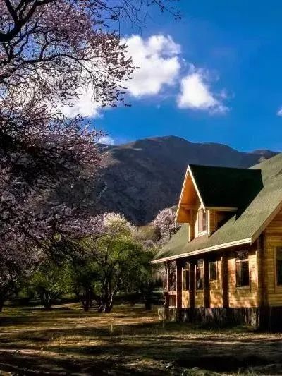 呼和浩特旅游公司信誉排名_呼和浩特旅游公司_呼和浩特旅游公司哪家好
