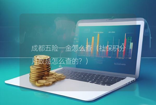 成都五险一金怎么查（社保积分月数是怎么查的？）,第1张