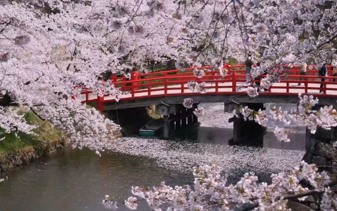 海鲜池打氧机_海鲜池打氧设备安装_海鲜打氧设备