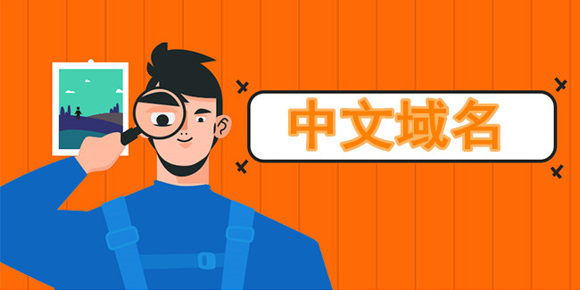 站内seo完美体现中文域名价值