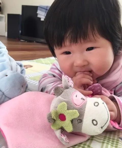 美国卡车报废标准_美国集卡车板费_美国卡车多少美元