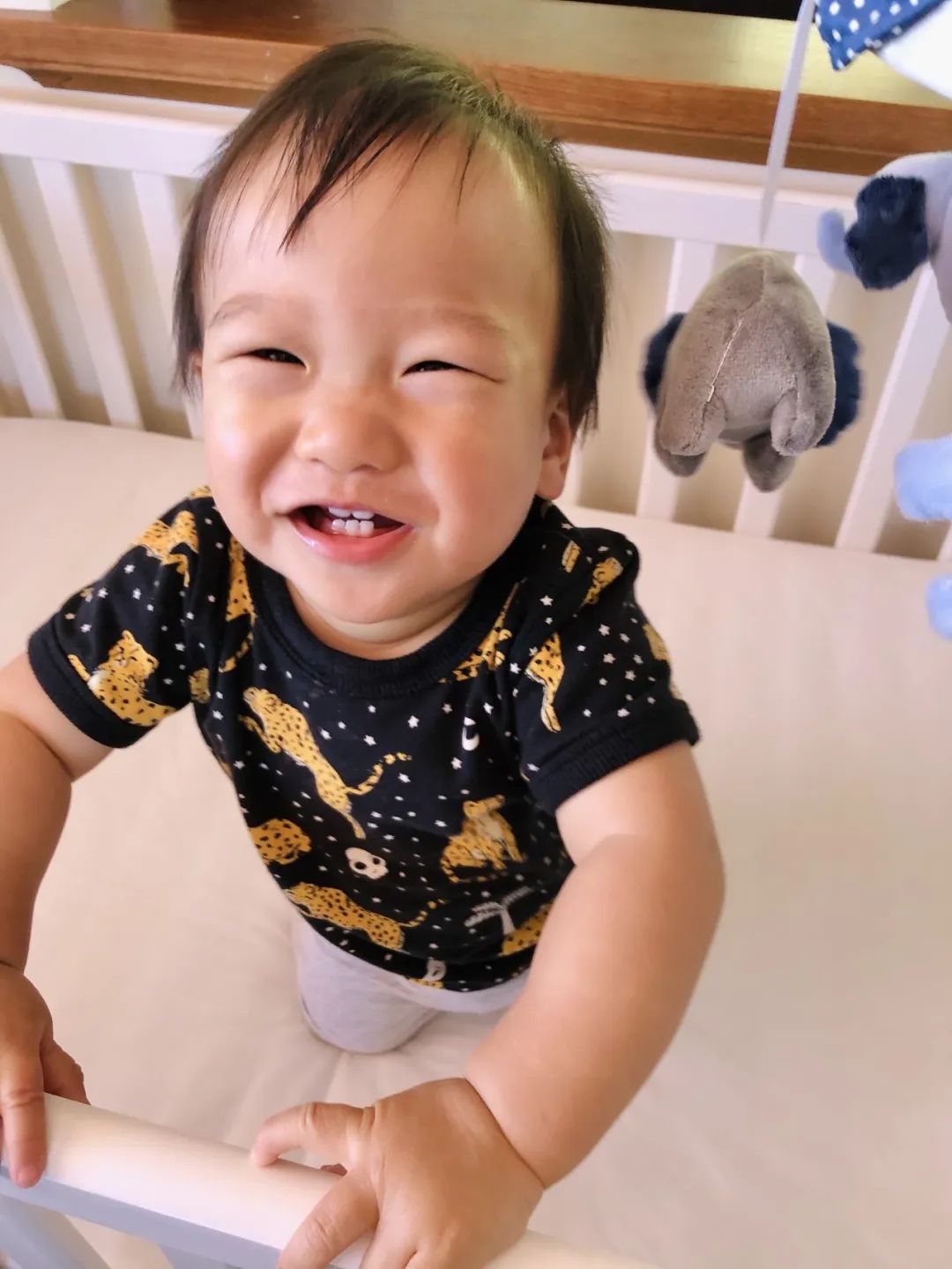 美国集卡车板费_美国卡车报废标准_美国卡车多少美元