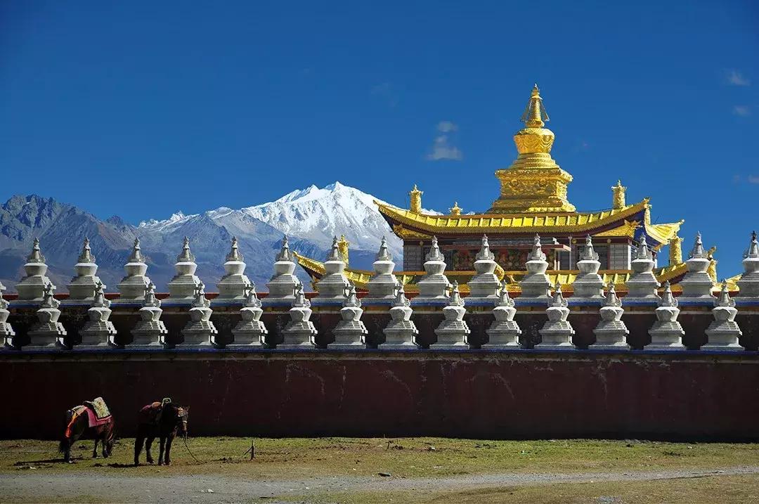 木格措景区门票_木格措门票价格_木格措景区电话