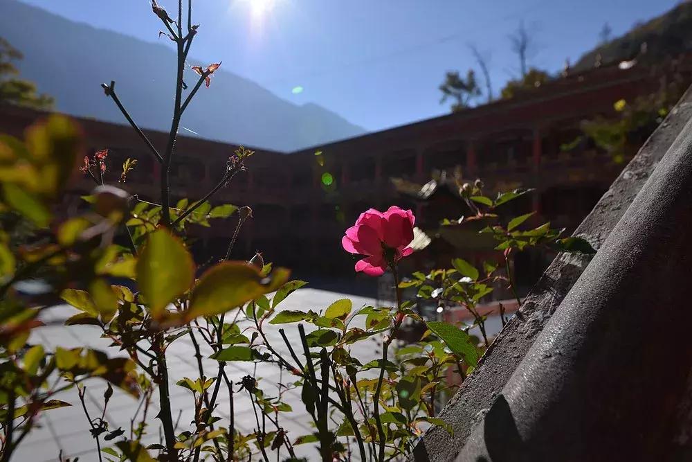 木格措门票价格_木格措景区门票_木格措景区电话