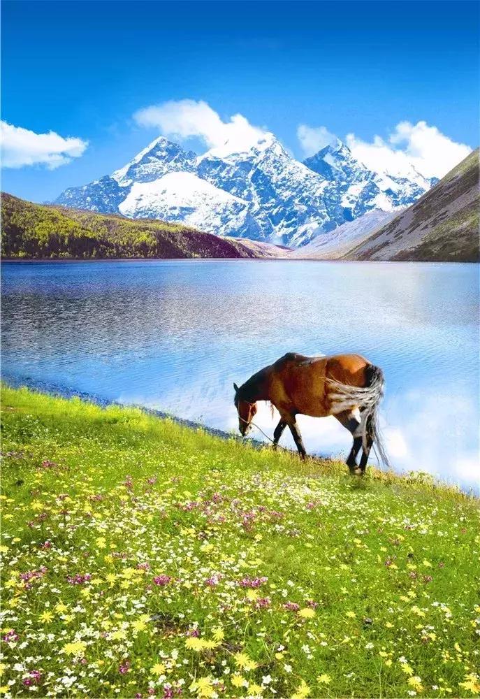 木格措门票价格_木格措景区电话_木格措景区门票