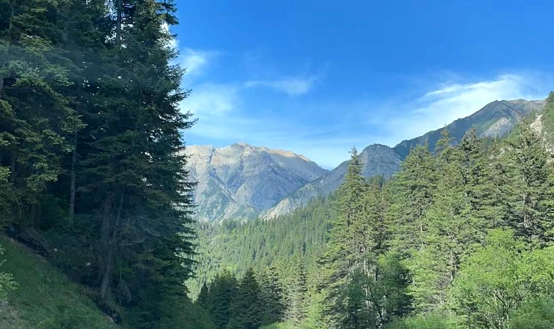 木格措景区门票_木格措景区优惠票_木格措景区优惠政策