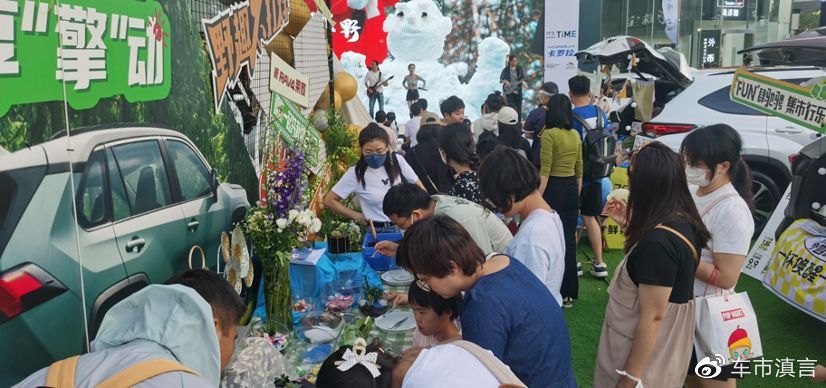 卡罗拉旅行版国内上市时间_旅行款卡罗拉国内上市_卡罗拉旅行版上市时间
