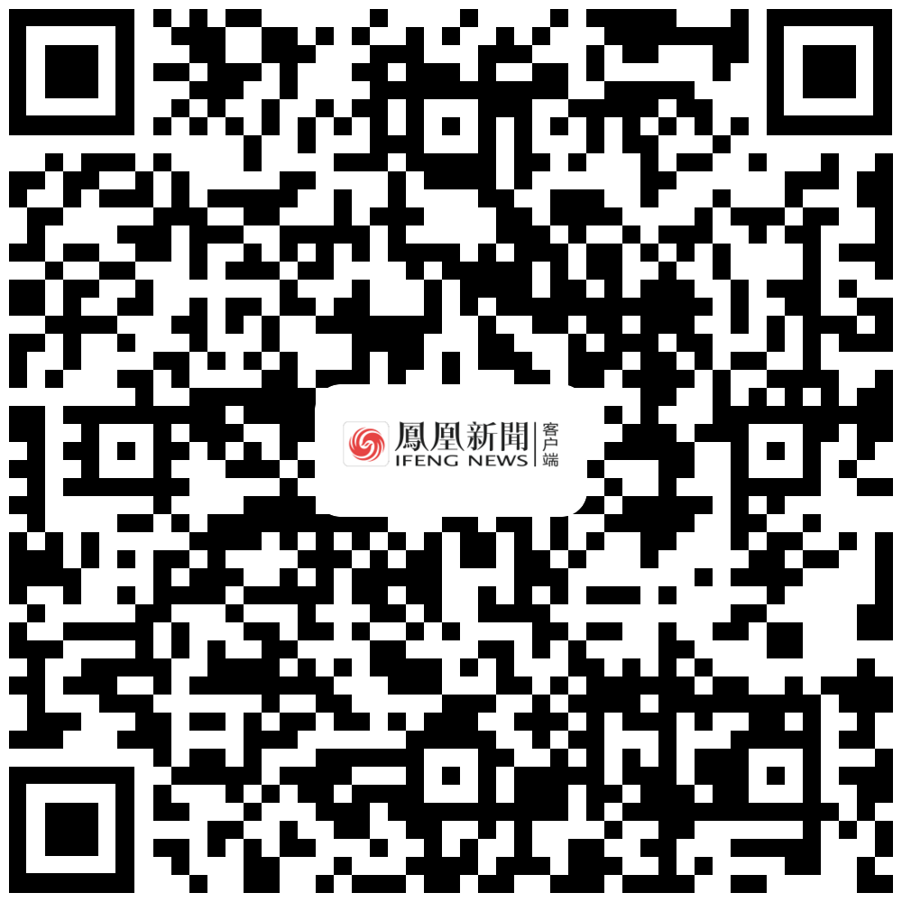 海口海关 春运期间 离岛免税购物_海口海关被税
