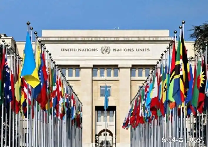 俄罗斯 联合国会费比例_常任理事国会费比较_联合国会费金额