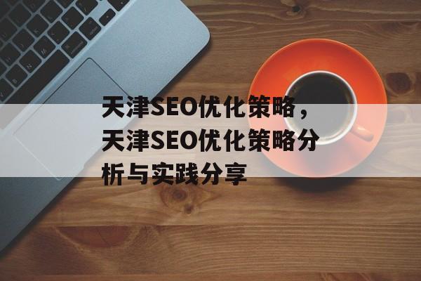 天津SEO优化策略，天津SEO优化策略分析与实践分享