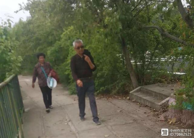 河南丹江大观苑景点介绍_丹江大观苑景区_丹江大观苑旅游攻略