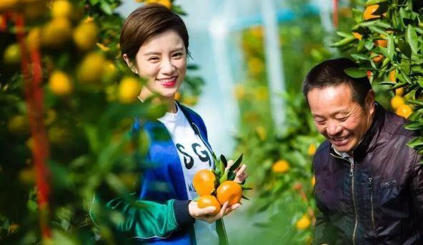 河南淅川丹江大观苑秋获风情节_丹江大观苑丰收节活动_丹江大观苑景区