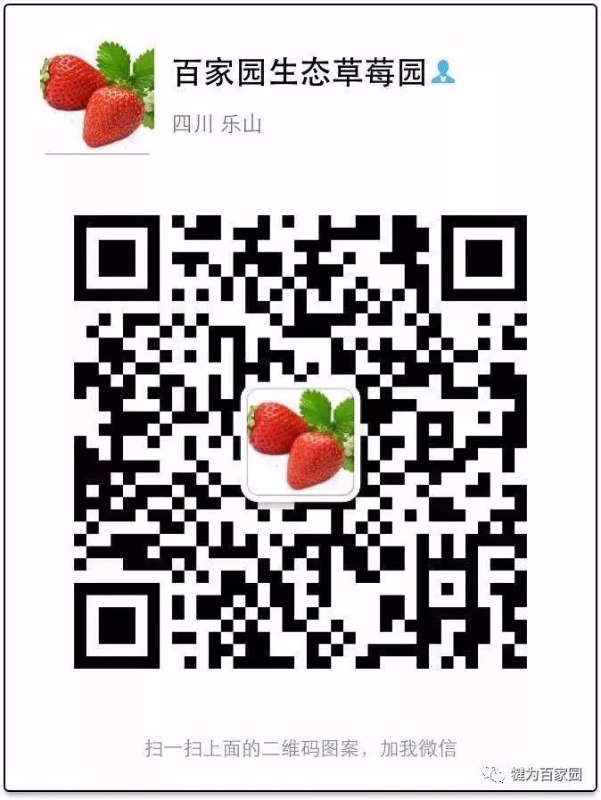 观光农业园区_百家园草莓园优惠活动_百家园生态观光农业草莓园开园时间