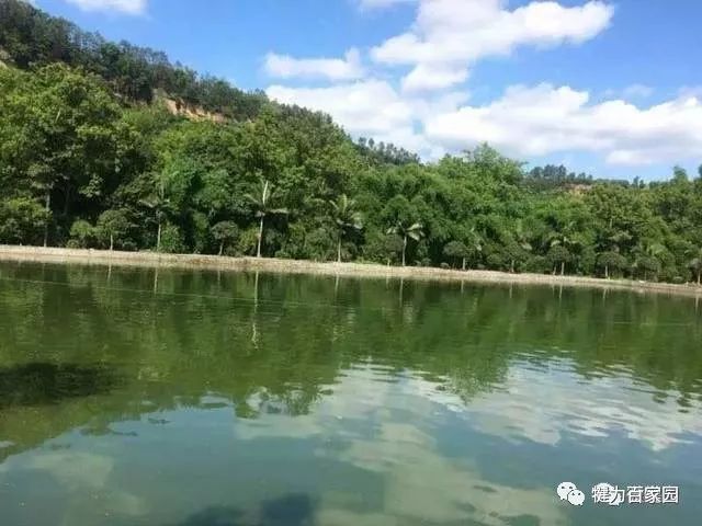 百家园草莓园优惠活动_观光农业园区_百家园生态观光农业草莓园开园时间