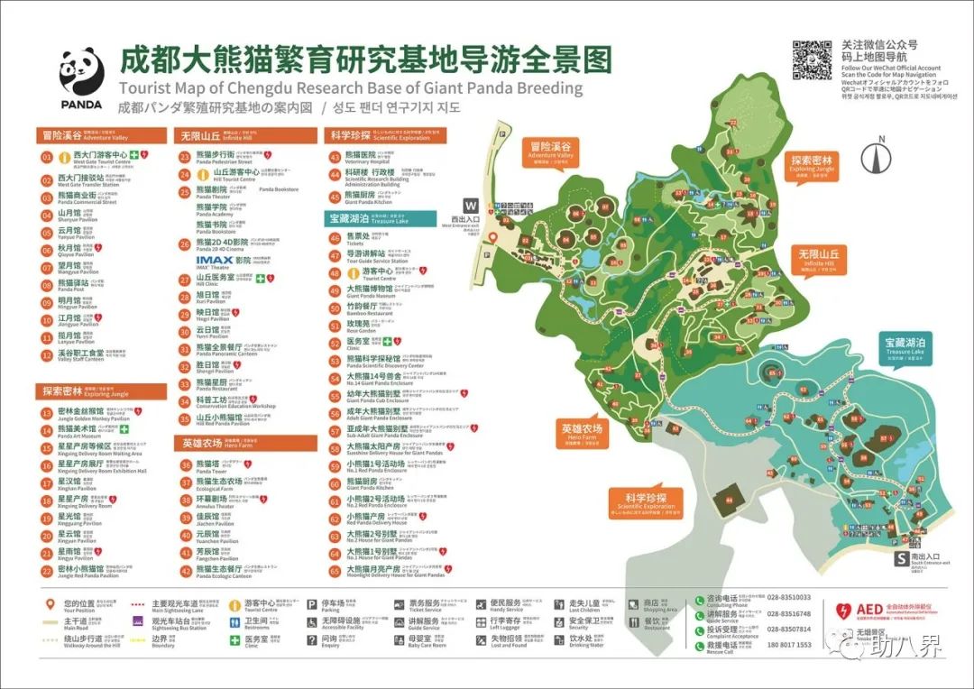成都美食美景美女_成都景区标识_成都锦里街道