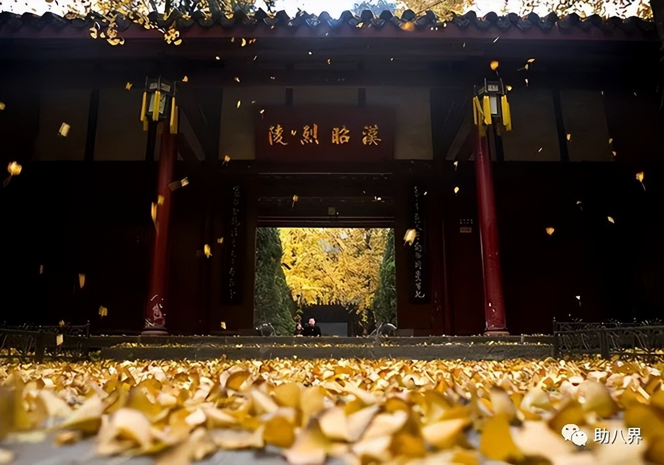 成都美食美景美女_成都景区标识_成都锦里街道