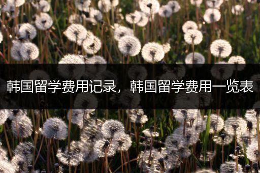 韩国留学费用记录，韩国留学费用一览表