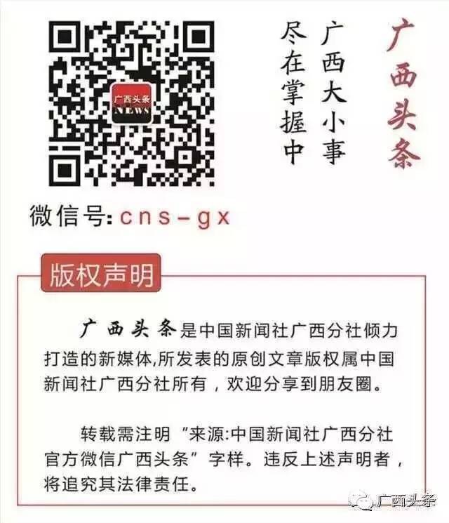 中国大陆游客赴越南旅游签证暂停_中国 旅游签证_越南驻南宁总领事馆签证受理