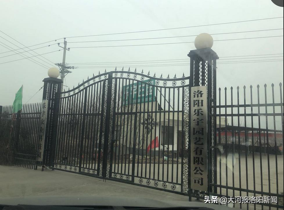 洛阳平乐镇庭院别墅购买_洛阳小产权的房子出售_洛阳乐宇农庄小木屋价格