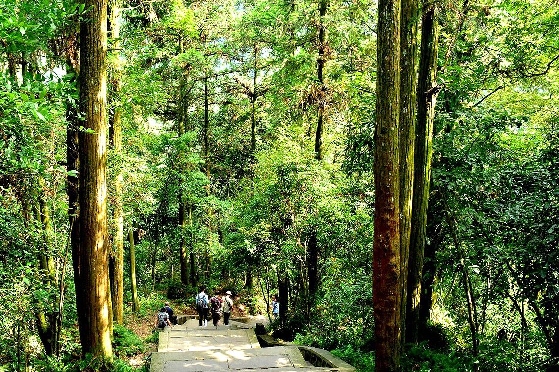 峨眉山游览路线_峨眉山穷游攻略_峨眉山旅游省钱方法