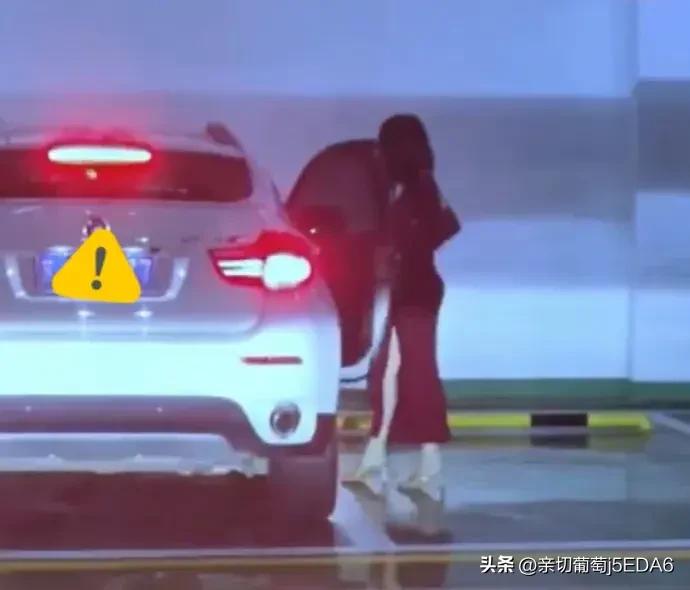 网络虚假信息传播_宝马车震事件真相_玩车震怎么让车子不晃