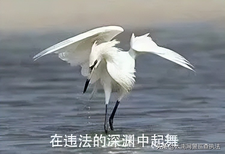 seo外链推广员_网络推广人员利用友情链接推广非法网站_友情链接推广色情博彩网站违法案例