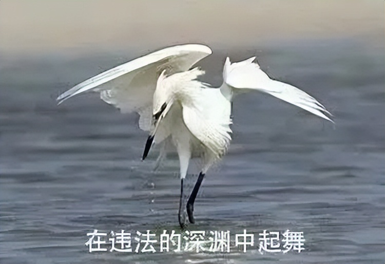 seo外链推广员_友情链接推广违法犯罪案例_非法网站友情链接交易
